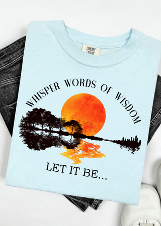 Wisdom & Wild Skies Comfort Colors T-Shirt