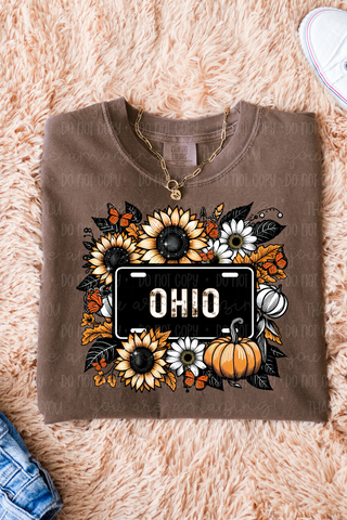 Ohio Fall Vibes Tee