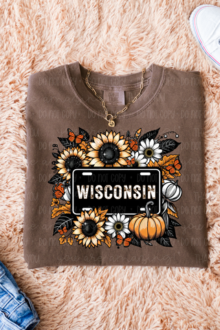 Wisconsin Fall Vibes Tee