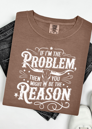The Problem and the Reason Comfort Colors T-Shirt