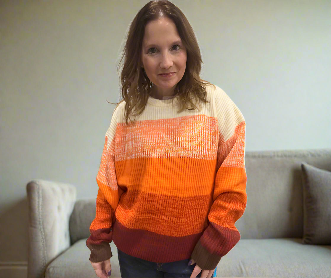 All Too Well Color Block Sweater jb's closet