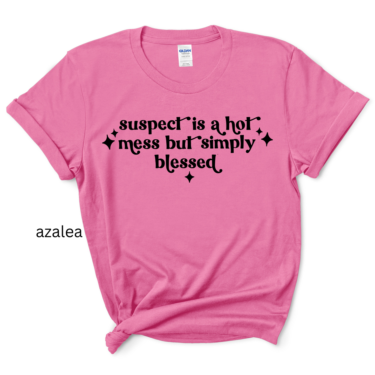 Suspect is a hot mess Tee