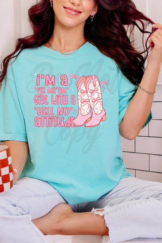 Hell No Attitude Tee or Sweatshirt