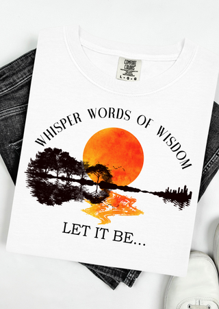 Wisdom & Wild Skies Comfort Colors T-Shirt