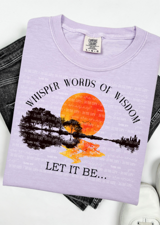 Wisdom & Wild Skies Comfort Colors T-Shirt