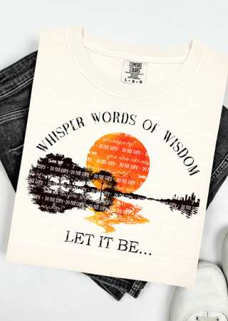 Wisdom & Wild Skies Comfort Colors T-Shirt