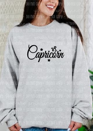 Capricorn Zodiac Sign Tee