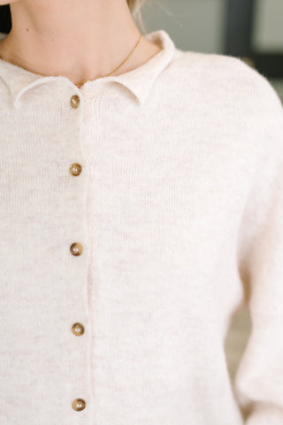 Careful Consideration Collared Button Down in Heathered Beige