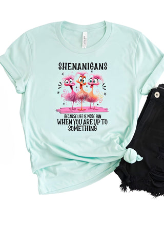 Shenanigans Bella Canvas T-Shirt