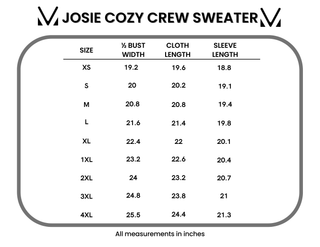 IN STOCK Josie Cozy Crew Sweater - Light Green