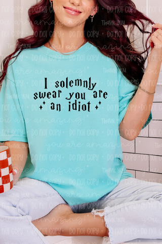 You're an Idiot Tee or Sweatshirt