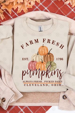 Farm Fresh Pumpkins Cleveland Ohio Sweatshirt